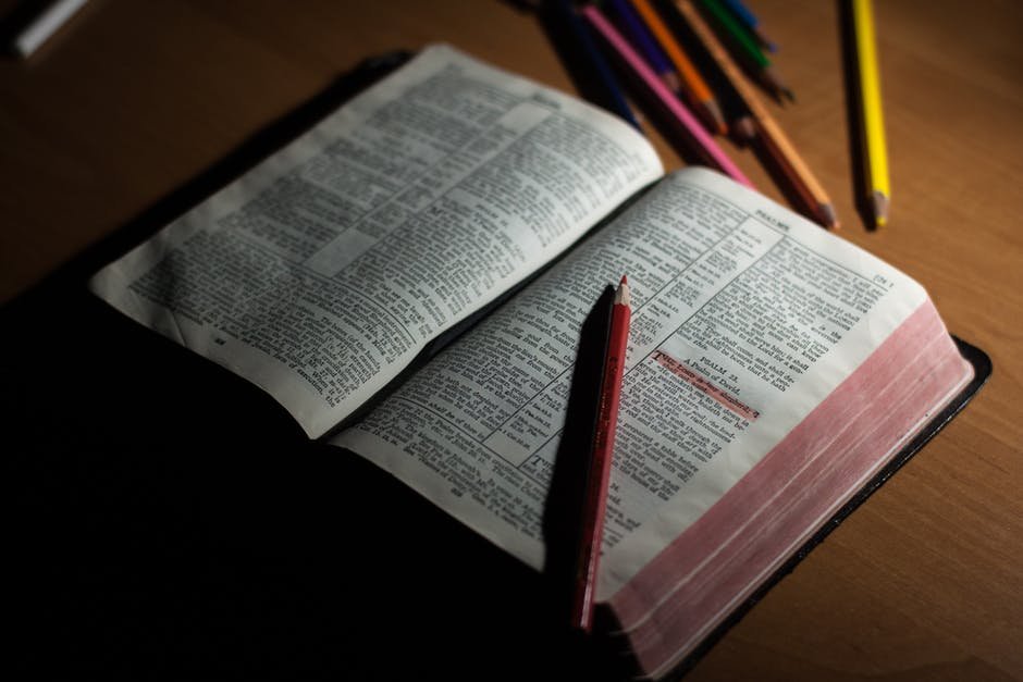 More of Jesus: What I Learned from Reading the Bible in a Year
