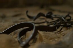 The Trial of Barabbas