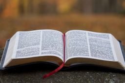 Bite Size Theology Update