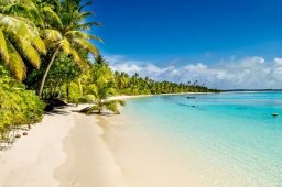 How to Respond to the Coronavirus if You are Young and Healthy