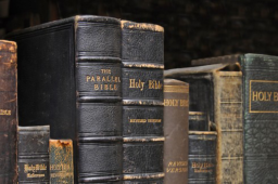 Bite Site Update: May 19, 2020