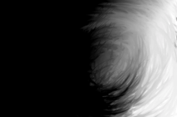 Race and a House Divided