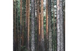 Calling is About Alignment