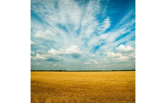 For King and Country