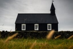 What Will Become of the Church