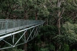 The Importance of Being Mentored