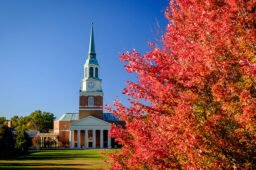 What Did I Sign Up For?