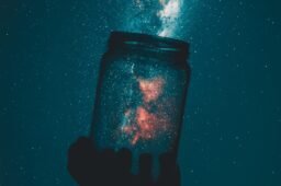 Are You a Celebrity?